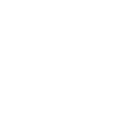 Train Gritty